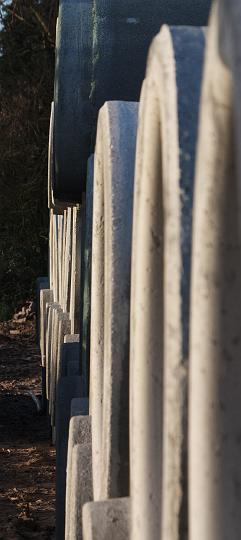 CRW_6200.jpg